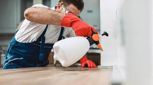 Best Pest Prevention Services  in California, PA